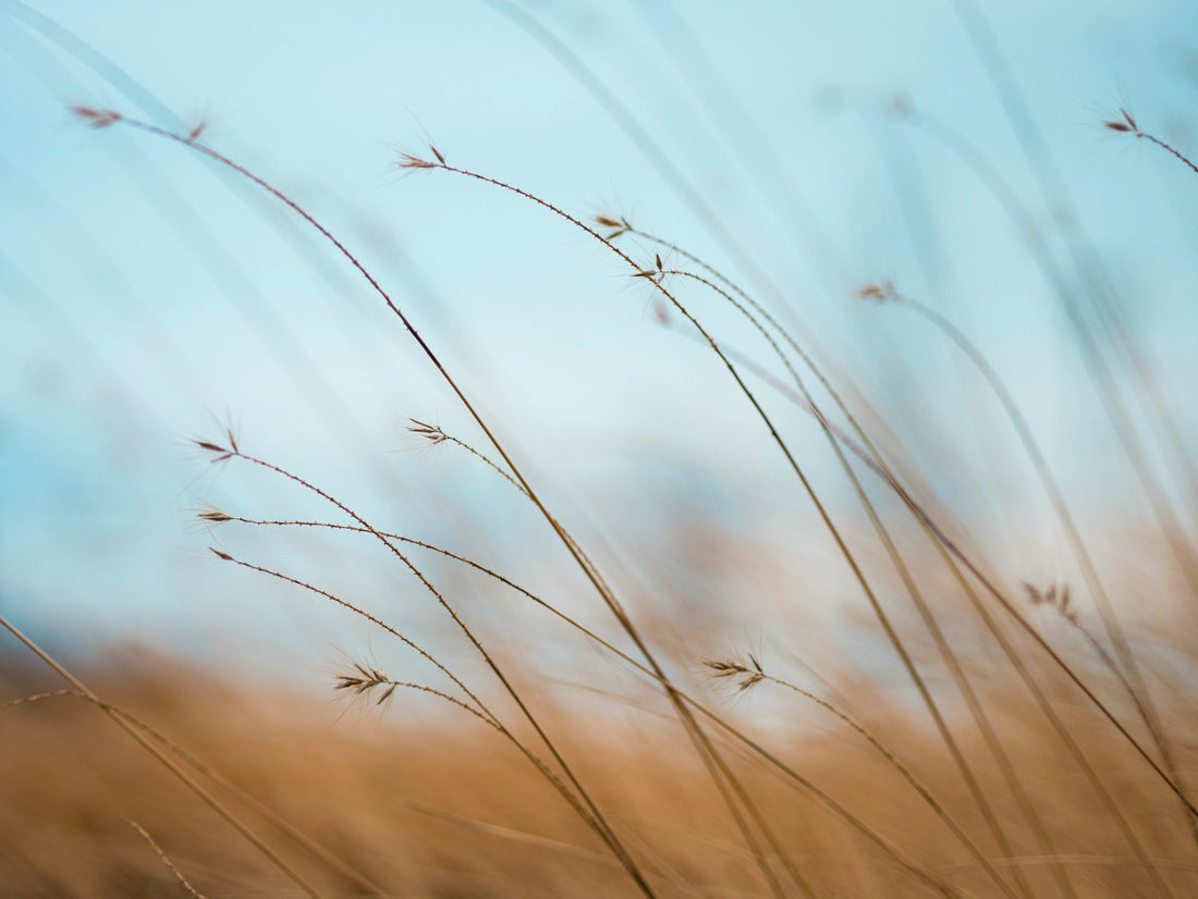 Breath wind rust kalm troost